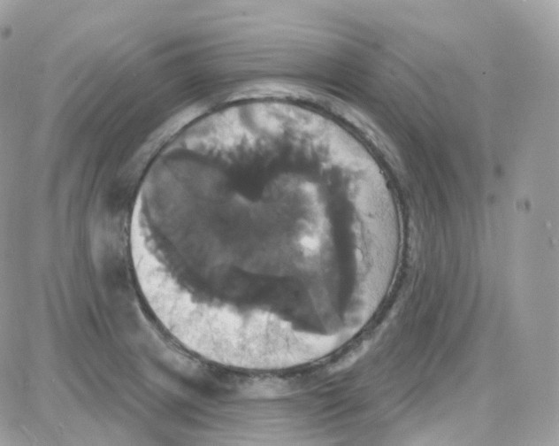 X0000087701233200706011736