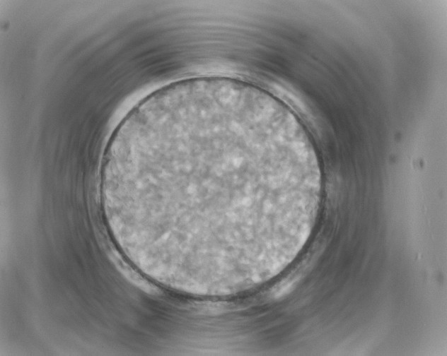 X0000087701236200706011737