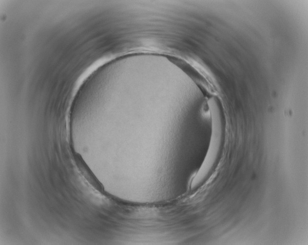 X0000087701238200706011737