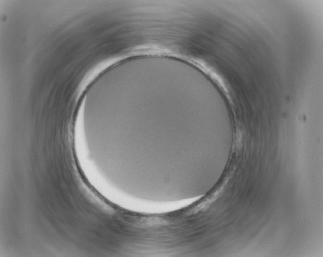 X0000087701239200706011737