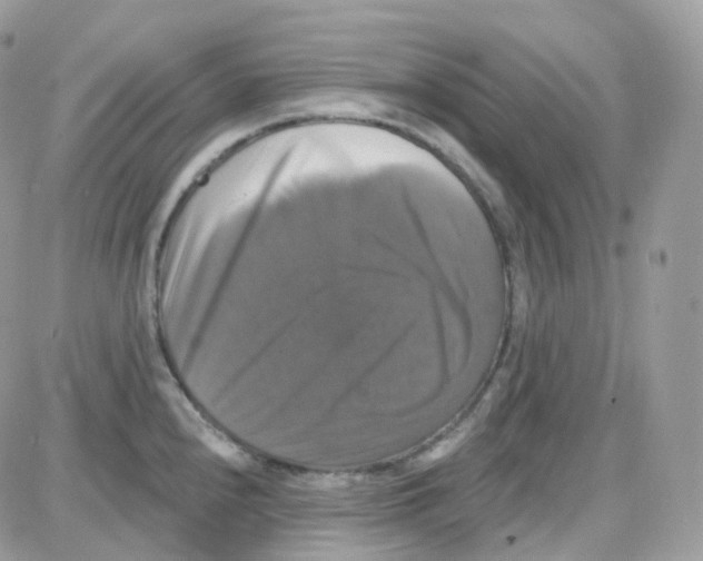 X0000087701240200706011737