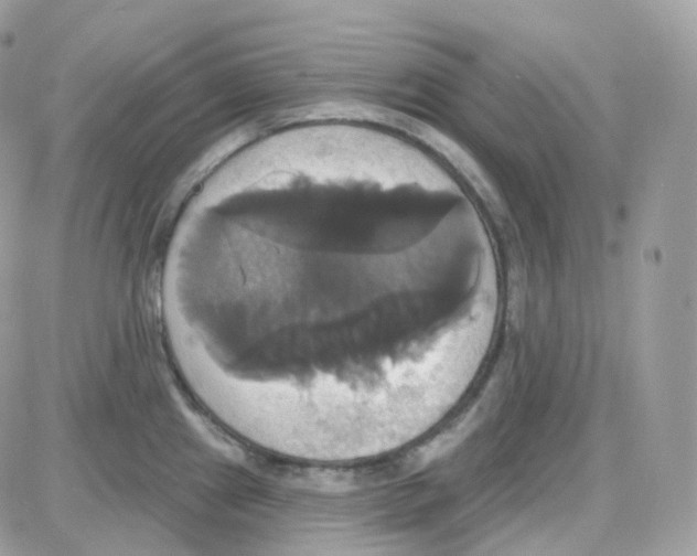 X0000087701241200706011737