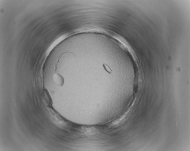 X0000087701242200706011737