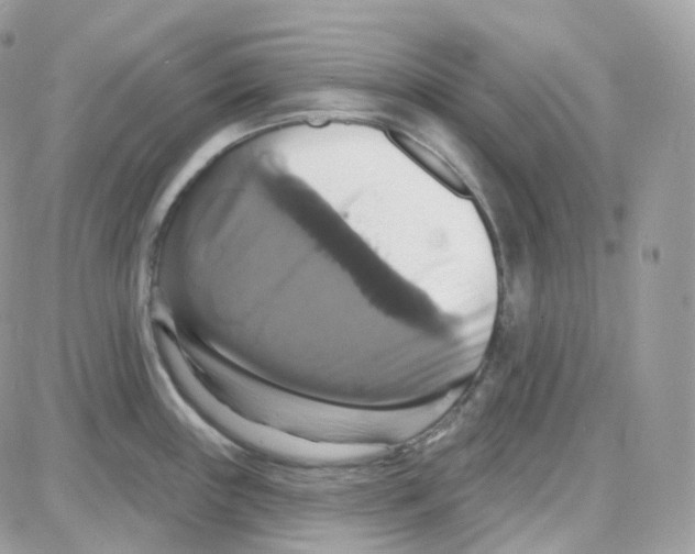 X0000087701243200706011737