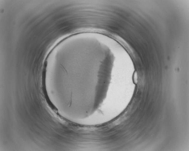 X0000087701244200706011737