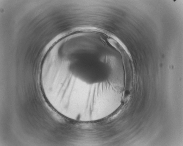 X0000087701245200706011737