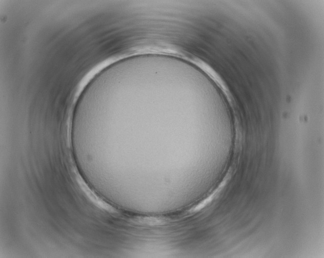 X0000087701246200706011737