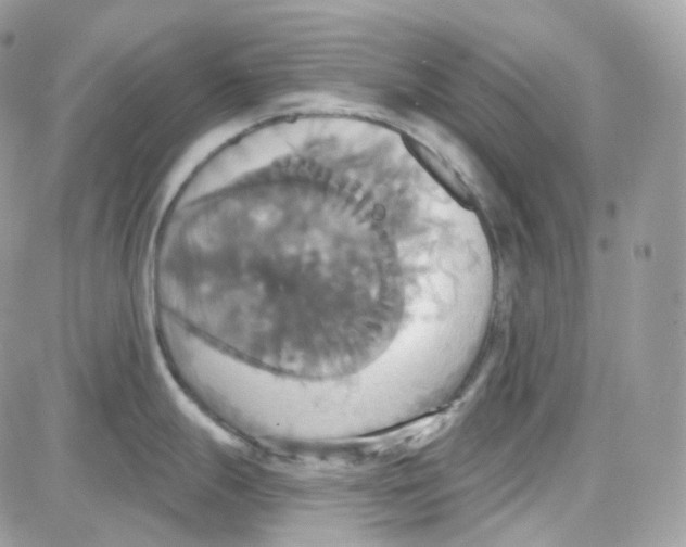 X0000087701247200706011737