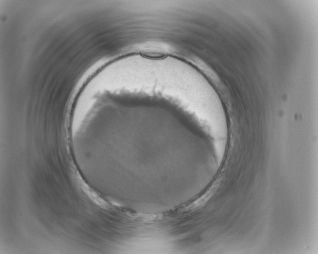 X0000087701248200706011737