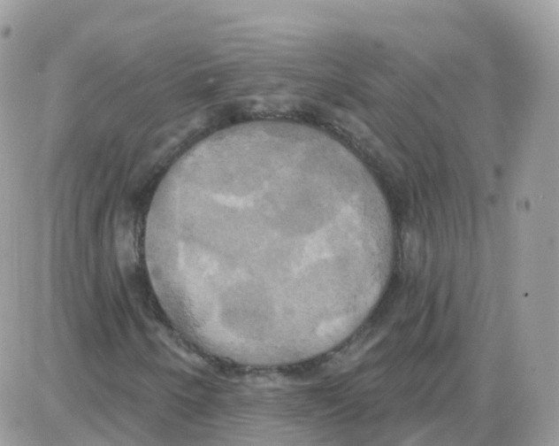 X0000087701250200706011736