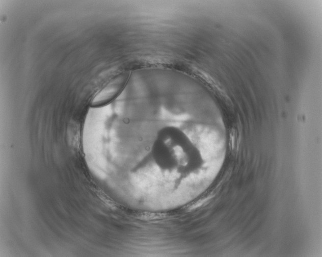 X0000087701251200706011736