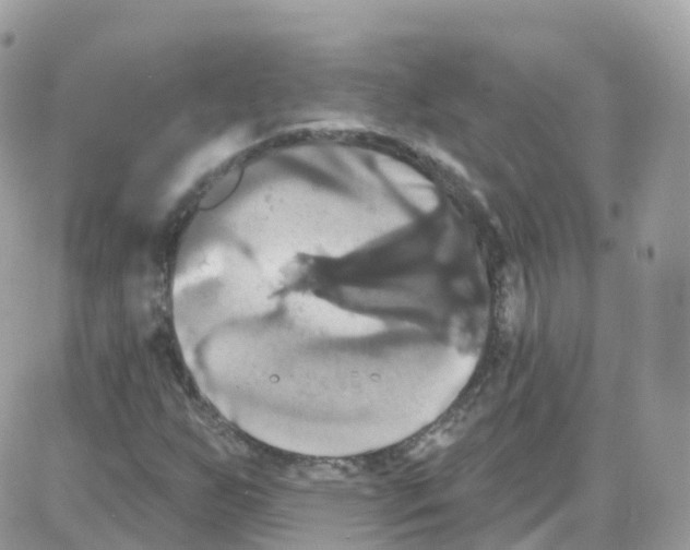 X0000087701255200706011736