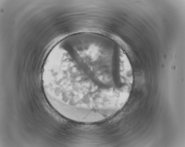 X0000087701284200706011735