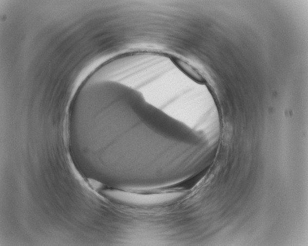 X0000087701295200706011735