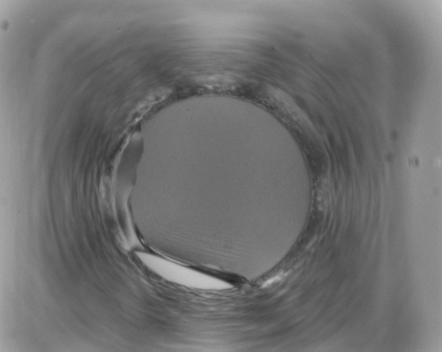 X0000087701298200706011734
