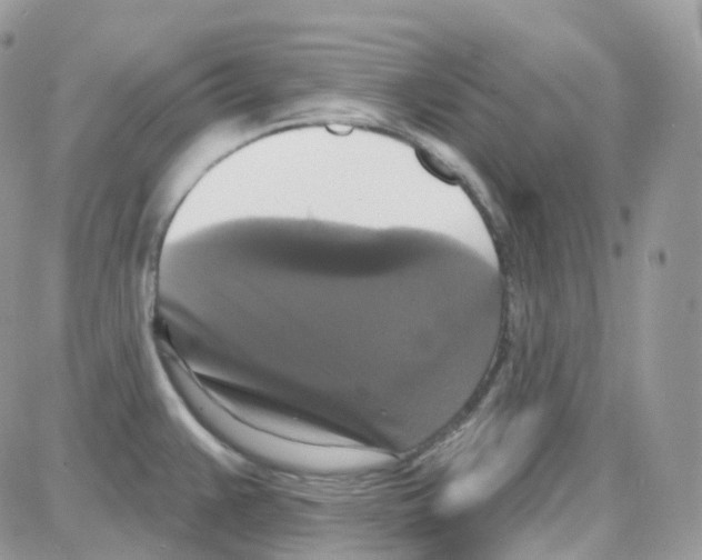 X0000087701383200706011734