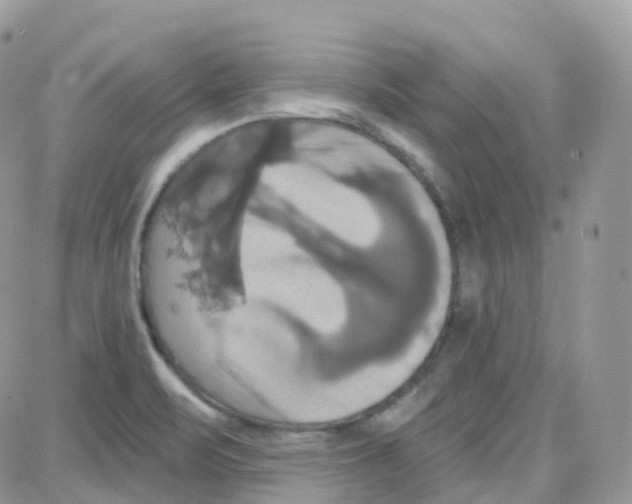 X0000087701471200706011732