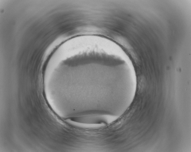 X0000087701472200706011732