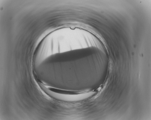 X0000087701533200706011732