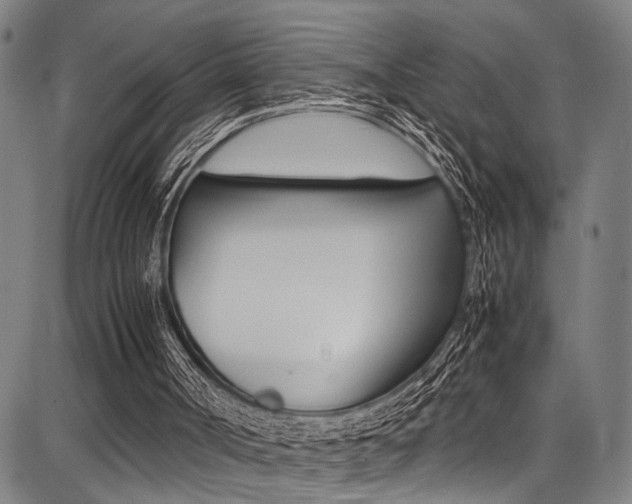 X0000087710002200705040928
