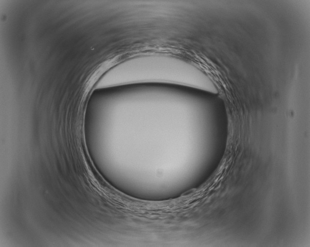 X0000087710003200705040928