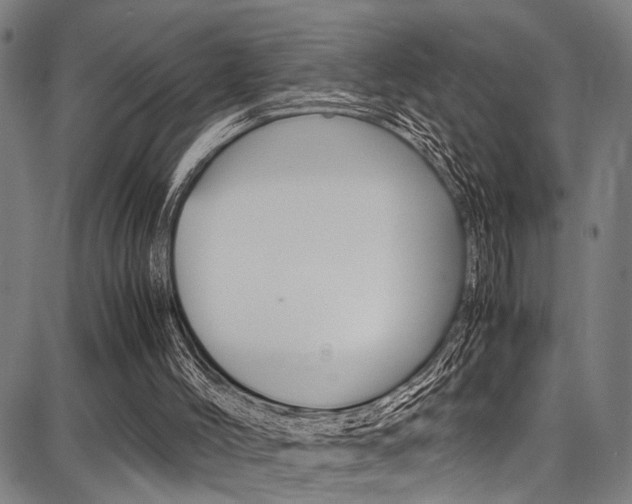 X0000087710004200705040928