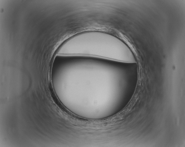 X0000087710011200705040928
