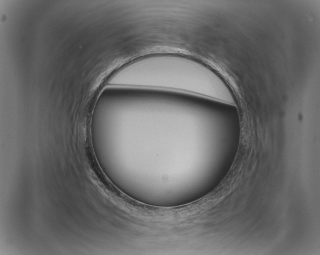 X0000087710015200705040928