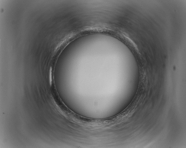 X0000087710020200705040927
