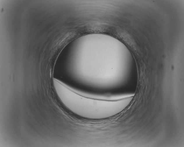 X0000087710021200705040927