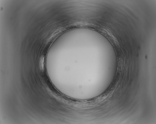 X0000087710024200705040927