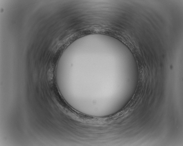 X0000087710032200705040927