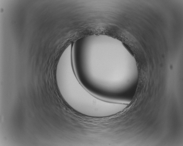 X0000087710037200705040927