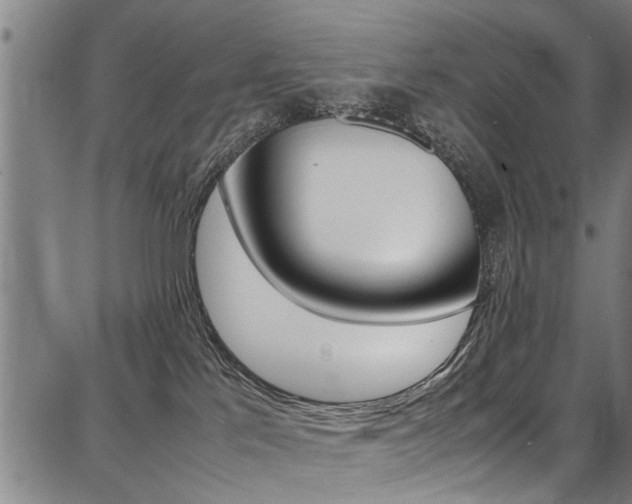 X0000087710041200705040927