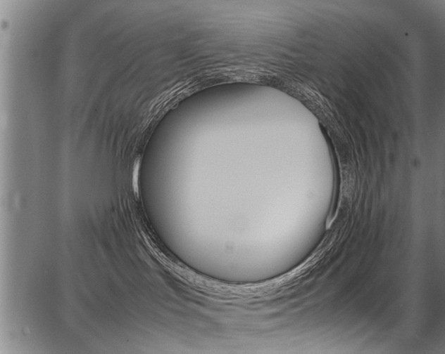 X0000087710047200705040927