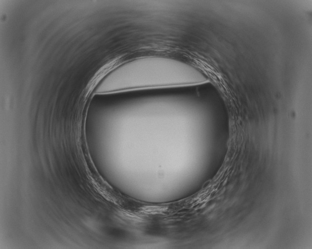 X0000087710051200705040926