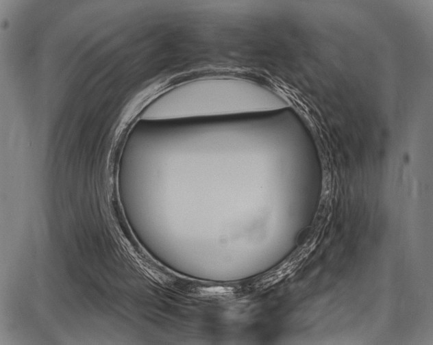 X0000087710053200705040926