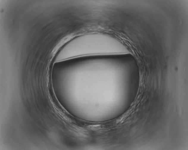 X0000087710054200705040926