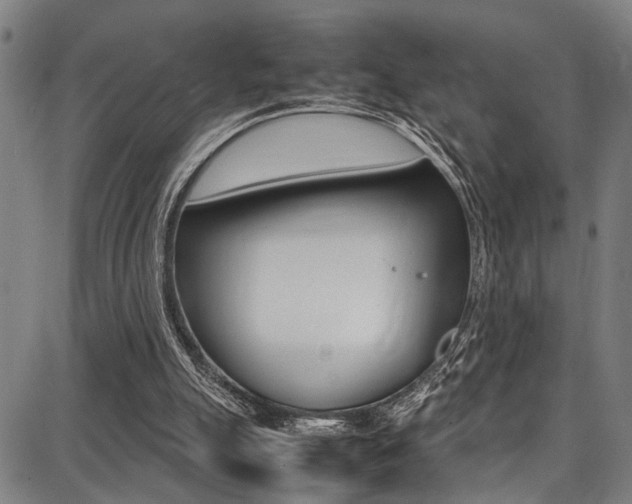 X0000087710055200705040926