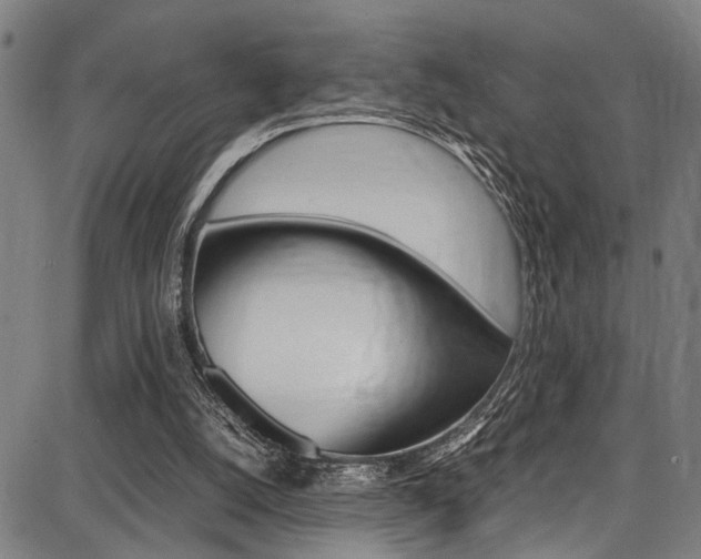 X0000087710056200705040926