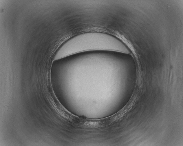 X0000087710057200705040926