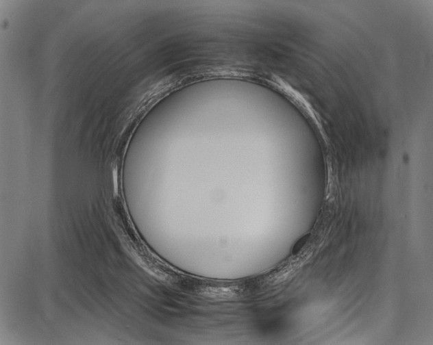 X0000087710061200705040926