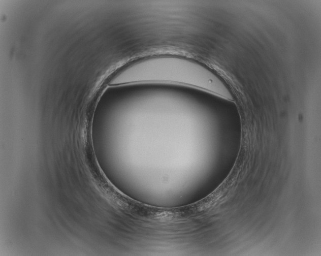 X0000087710064200705040927