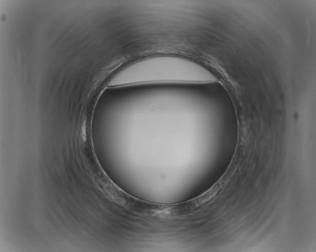 X0000087710068200705040927