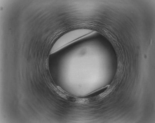 X0000087710096200705040927