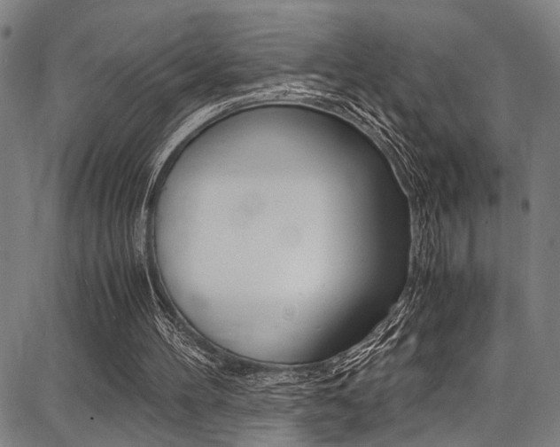 X0000087710100200705040926