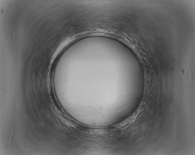X0000087710102200705040926