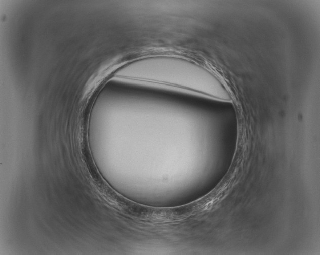 X0000087710103200705040926