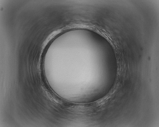 X0000087710104200705040926