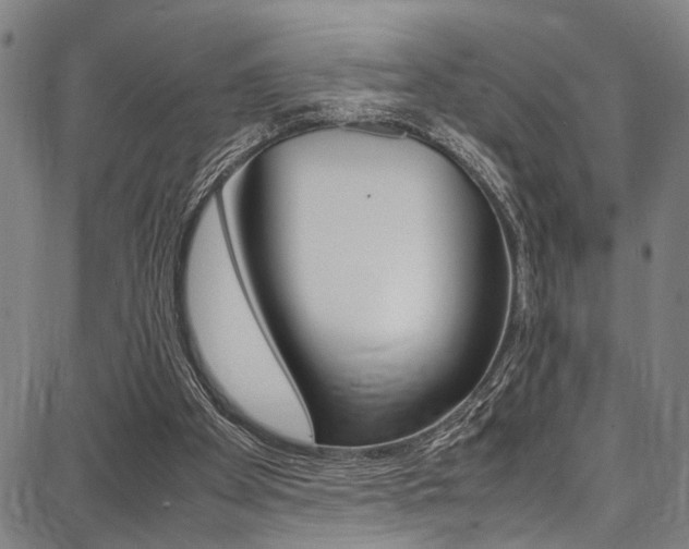 X0000087710105200705040926